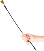 BDSM - Fetish Fantasy Gold Crop