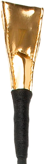 BDSM - Fetish Fantasy Gold Crop