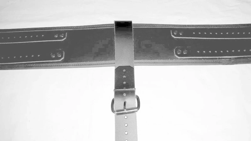 Huge Strap-on Harness