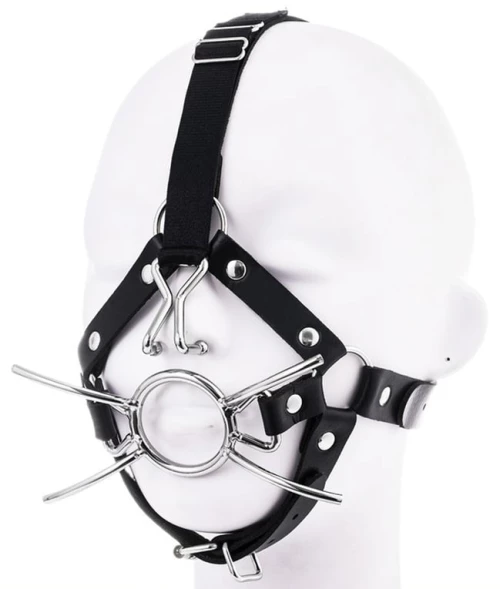 Spider gag with nose hook