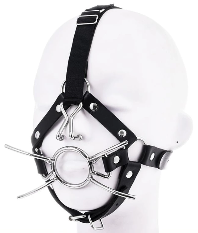 Spider gag with nose hook
