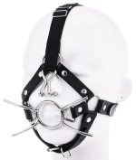 Spider gag with nose hook