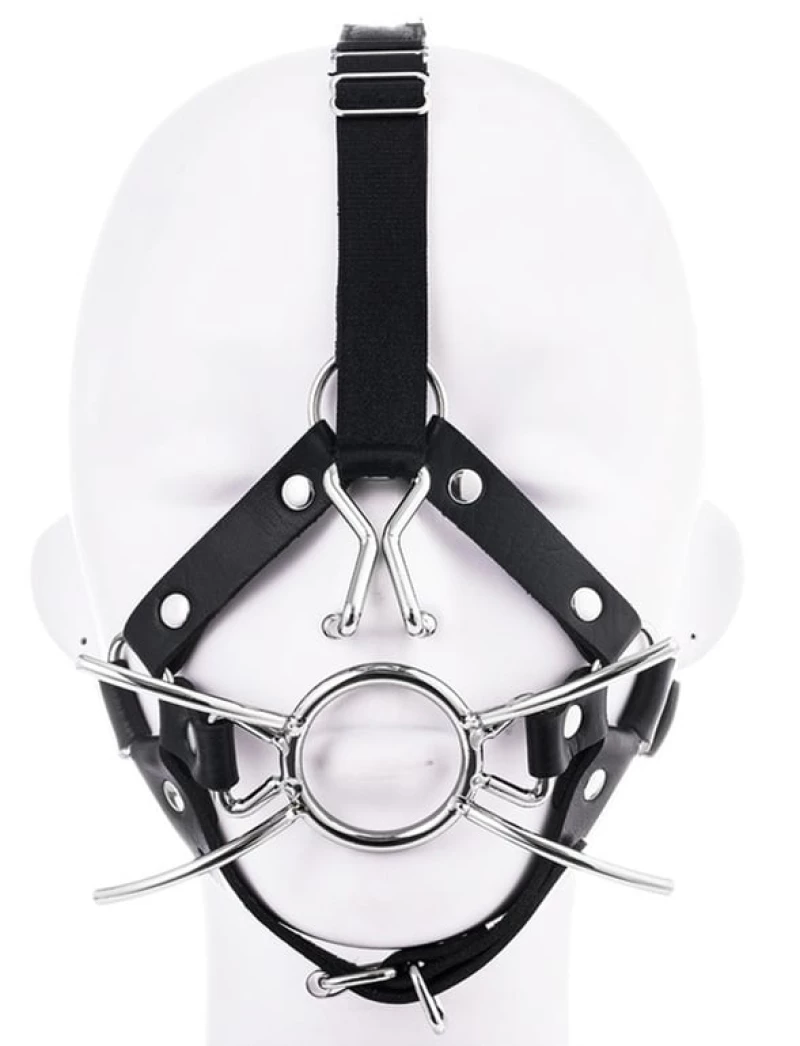 Spider gag with nose hook