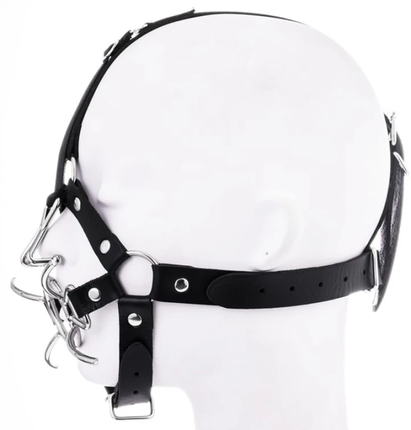 Spider gag with nose hook