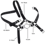 Spider gag with nose hook