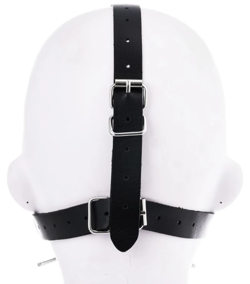 Spider gag with nose hook