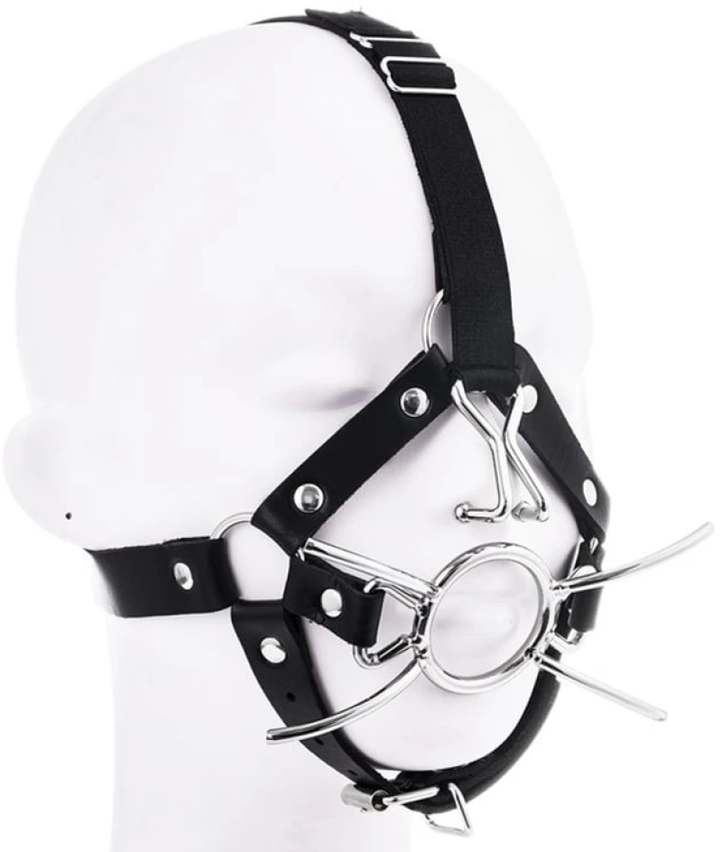 Spider gag with nose hook