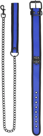 Neoprene Collar with Leash Blue