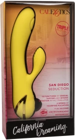 San Diego Seduction