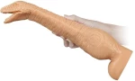 Μη Ρεαλιστικό Ομοίωμα Πέους Dinosaur Dildo 35 cm - Mokko Toys