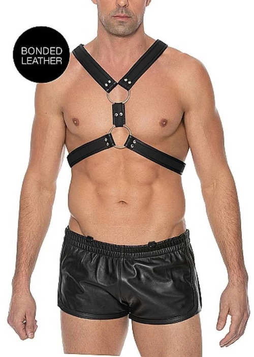 Scottish Harness - Black