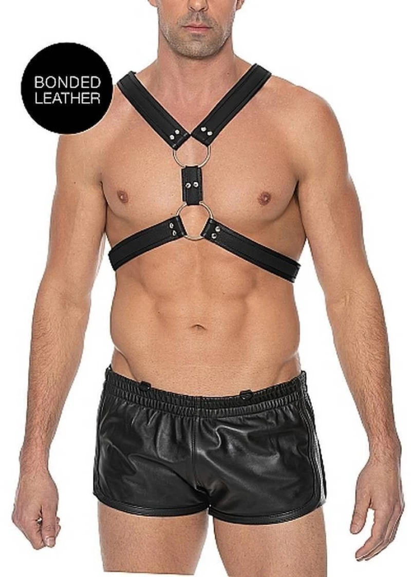 Scottish Harness - Black