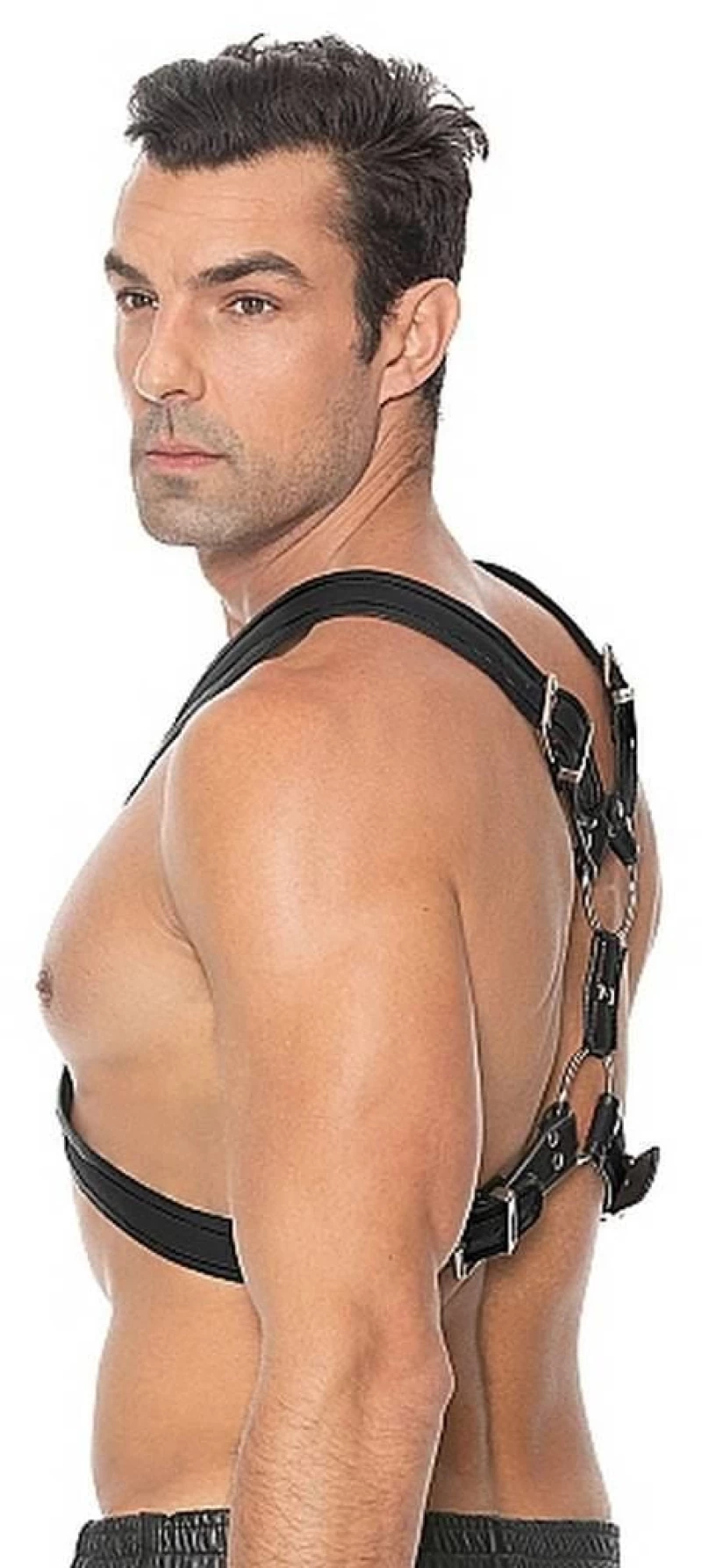 Scottish Harness - Black