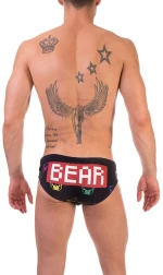 Pixels Bear Swim Brief