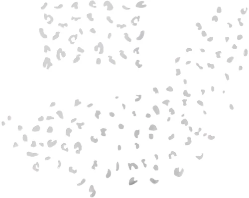 Silver Stick On Freckles
