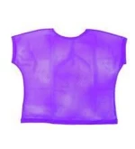 Purple Mesh Top