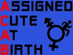 Assigned Cute At Birth Acab