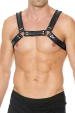 Chest Bulldog Harness - Black