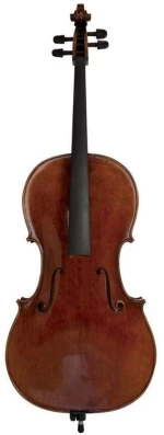 Gewa Maestro 26