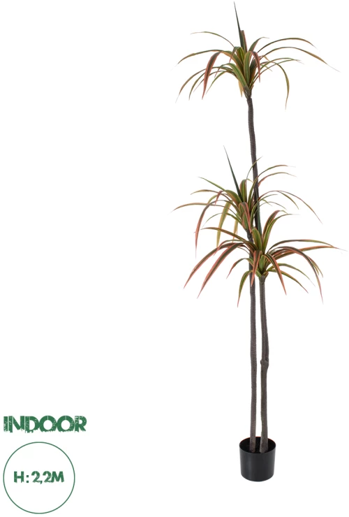 GloboStar® Artificial Garden DRAGON BLOOD TREE 20371 Τεχνητό Διακοσμητικό Φυτό Δράκαινα Υ220cm
