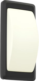 it-Lighting Wilson 1xG9 Outdoor Up-Down Wall Lamp Anthracite D:23cmx11cm 80202844