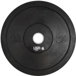 BUMBER PLATES 25kg