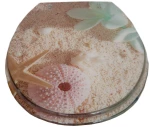 Κάλυμμα λεκάνης Polyresin 36×43 cm