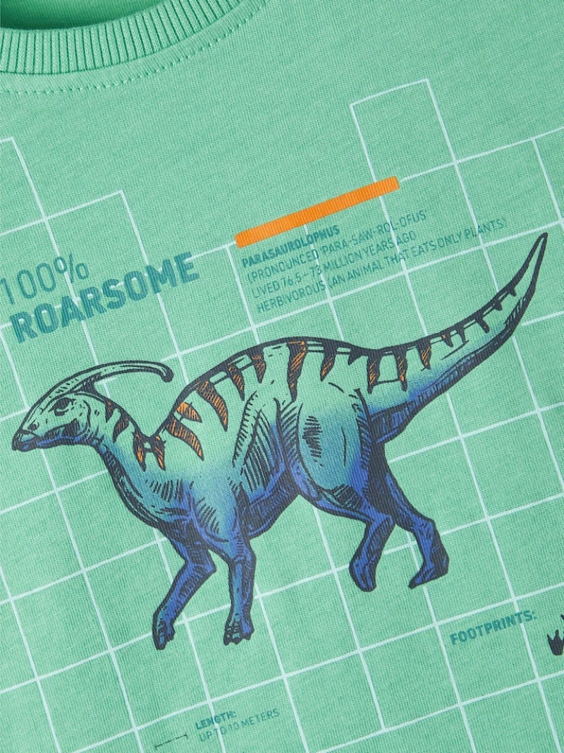 Μπλούζα "Roarsome" πράσινη (Πράσινο)
