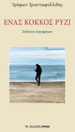 Ένας κόκκος ρύζι