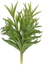 Τεχνητό Φυτό Succelent PT3650 58.4x54.2cm Green Present Time Πλαστικό