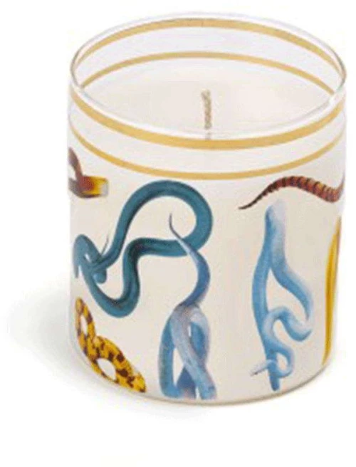 Κερί Σε Βάζο Snakes 14083 8x8,5cm Muti Seletti Παραφίνη