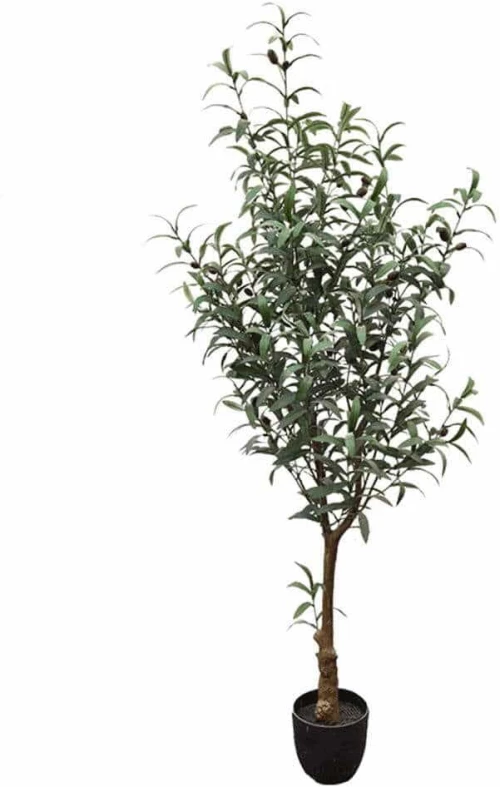 Τεχνητό Δέντρο Ελιά 7660-6 65x65x150cm Green Supergreens Πολυαιθυλένιο