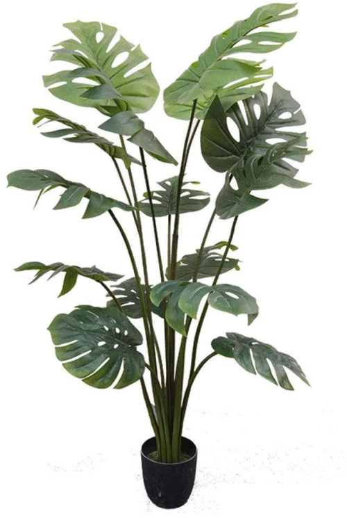 Τεχνητό Δέντρο Μονστέρα 1660-6 83x83x150cm Green Supergreens Πολυαιθυλένιο