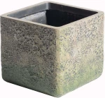 Κασπώ Πήλινο Βρύα B-2840-8 30x30x27cm Grey Supergreens Πηλός