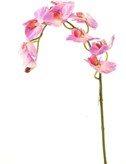 Τεχνητό Κλωνάρι Ορχιδέα 8380-7 75cm Fuchsia Supergreens Πολυαιθυλένιο