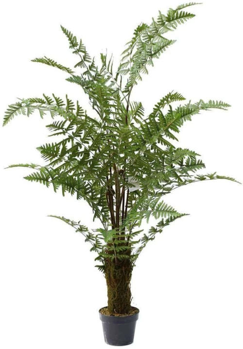 Τεχνητό Δέντρο Αρέκα Phoenix 7280-6 100x150cm Green Supergreens Πολυαιθυλένιο
