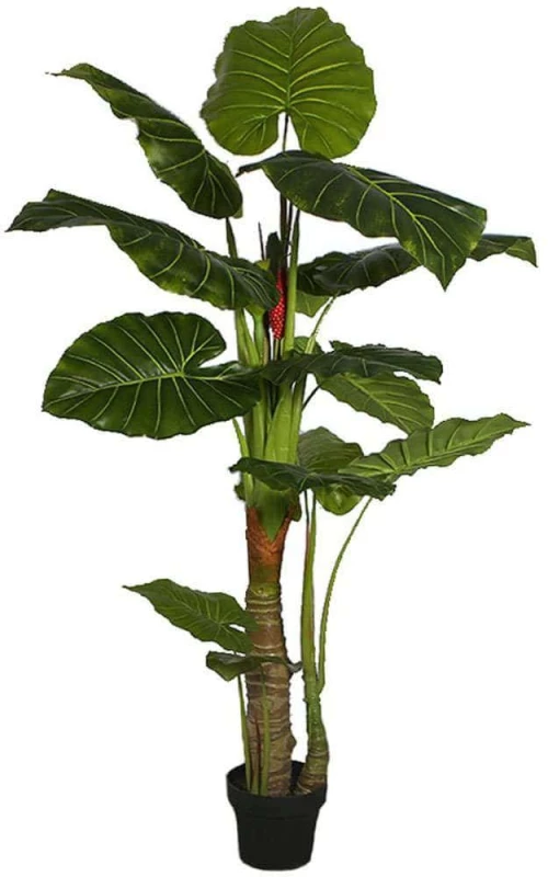 Τεχνητό Δέντρο Αλοκάσια Elephant Ears 9180-6 80x170cm Green Supergreens Πολυαιθυλένιο