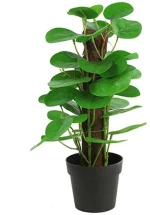 Τεχνητό Φυτό Σε Κασπώ Φυλλόδενδρο 013.787819 35cm Multi-Green
