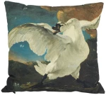 Μαξιλάρι βαμβακερό SWAN 45x45