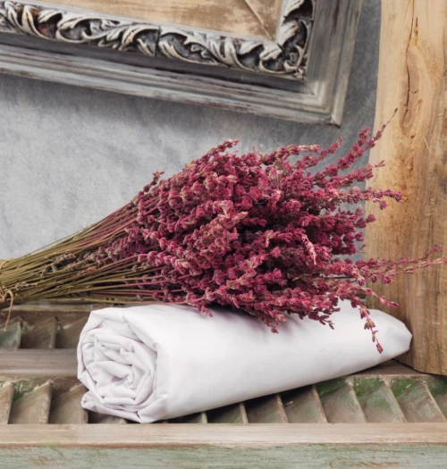 Σεντόνια Μονόχρωμα Λάστιχο Angel - White, Διπλό λάστιχο (150x200+25)