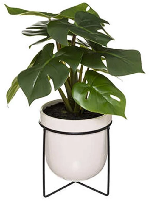 Κασπώ κεραμικό με πρασινάδα 23x33