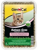 GimCat Χόρτο γάτας