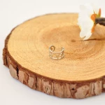 Σκουλαρίκι Γυναικείο Ear Cuff 94217-3 Ασημί Ασημί