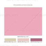 Προσκλητήριο βάπτισης Καρουζέλ TS590