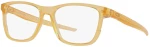 OAKLEY CENTERBOARD OX8163-09