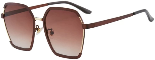 Techsuit - Sunglasses Polarised PC (191) - UV Protection - Coffee
