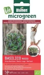 Σπόροι Microgreens Βασιλικός Κόκκινος