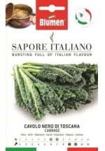 Λαχανίδα Nero di Toscana