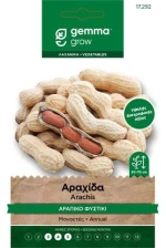 Σπόροι Αραχίδα(Φυστίκι)