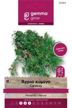 Άγριο κύμινο